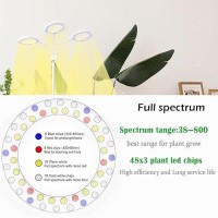 Grow Light With Stand Yadoker Trihead Led Plant Light For Indoor Plants Full Spectrum Grow Lamp 81216H Timer 10 Dimmable