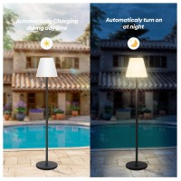 Gewiny Outdoor Floor Lamp Solar Powered Outdoor Lamps For Patio Waterproof,Rechargeable Indoor Cordless Floor Lamp With Light Sensor,Dimmable Warm White+Rgb Led Outdoor Lamp For Lawn,Pool,Garden.