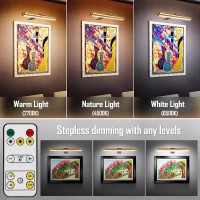 Tintindoc Picture Light 6000Mah Battery Operated Painting Light Full Metal With Remote13Art Light For Wall Dartboard Gallery