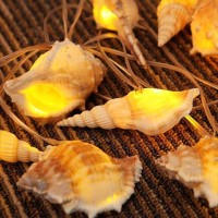 1.65M 10Led Sea Shell Fairy Lamp Lovely Conch String Light Battery Operated For Holiday Wedding Home Window Decoration