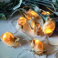 1.65M 10Led Sea Shell Fairy Lamp Lovely Conch String Light Battery Operated For Holiday Wedding Home Window Decoration