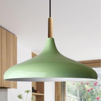 Bamyum Champion Mint Nordic Modern Pendant Light Fixtures Wood 13.7