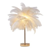 Dunmw Creative White Ostrich Feather Table Lamp Bedside Light Luxury And Elegant Lampshade Nightlight Table Lighting For Living Room Bedroom Home Decoration, Rechargeable