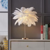 Dunmw Creative White Ostrich Feather Table Lamp Bedside Light Luxury And Elegant Lampshade Nightlight Table Lighting For Living Room Bedroom Home Decoration, Rechargeable