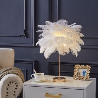 Dunmw Creative White Ostrich Feather Table Lamp Bedside Light Luxury And Elegant Lampshade Nightlight Table Lighting For Living Room Bedroom Home Decoration, Rechargeable