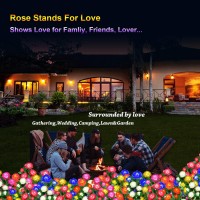 Ywywled Solar Flower Lights Outdoor Upgraded New Material Two Modes Realistic Led Solar Powered Waterproof Lights With 5 Roses