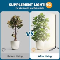 Barrina Grow Lights For Indoor Plants With Stand 42W 169 Leds Full Spectrum Wide Illumination Area T10 Vertical Standing Plant