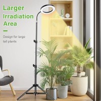 Lordem Grow Light For Indoor Plants Full Spectrum Plant Light With Auto Timer For 4812H 72 Leds Growth Lamp With 4 Dimmable