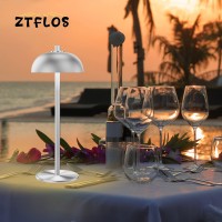 Ztflos Rechargeable Cordless Table Lamp, 5000 Mah Led Battery Powered Table Lamp, Portable Touch Restaurant Decorative Lamp, Cordless Lamp For Outdoor/Living Room/Bedroom(Silver)