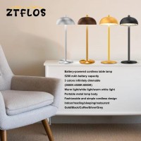 Ztflos Rechargeable Cordless Table Lamp, 5000 Mah Led Battery Powered Table Lamp, Portable Touch Restaurant Decorative Lamp, Cordless Lamp For Outdoor/Living Room/Bedroom(Silver)