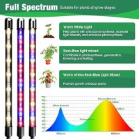 Garpsen Grow Lights For Indoor Plants Grow Light With Red Blue Full Spectrum 2 Heads Clip 40 Leds Plant Light For Indoor Plant