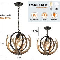 Debemenes Rustic Antler Chandelier, 14