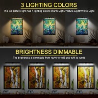 Picture Light 16 Battery Operated Painting Light For Wall With Remote 3 Lighting Metal Art Light With Dimmable And Timer Displ