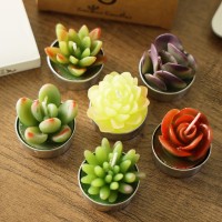 Aixiang 6 Styles Succulent Tealight Candles For Home Decor New Year Presents Housewarming Gifts Mothers Day Gifts Halloween