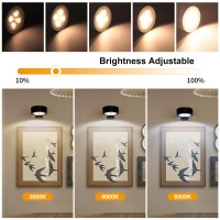 Blisaleiip 3Pcs Picture Light Battery Operated Remote Painting Light For Wall With 3 Lighting 60H Art Display Light With Dimmab