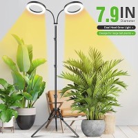 Lordem Grow Light For Indoor Plants 79 Diameter Dualhead Plant Light For Plants Growing Full Spectrum Growth Lamp With Aut