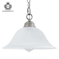 Shengqingtop Plug In Pendant Light Alabaster Glass Shade Hanging Lamp With Onoff Switch 164Ft Cord 147Ft Chain Dimmable Bru