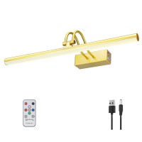 Raifoolly Picture Light, 20In Battery Operated Picture Lights For Paintings,Metal Remote Display Art Light With Timer And Dimmable For Wall Painting,Frame, Portrait, Dartboard(Gold)