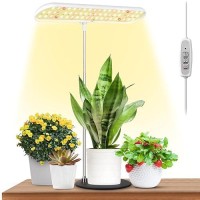 Foxgarden Grow Light Full Spectrum Desktop Grow Lamp With Base Bright Led Plant Light With Auto Onoff Timer 4812H 4 Dimmab