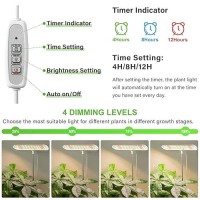 Foxgarden Grow Light Full Spectrum Desktop Grow Lamp With Base Bright Led Plant Light With Auto Onoff Timer 4812H 4 Dimmab