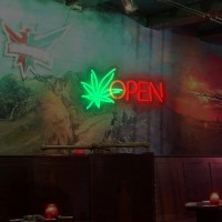 Moodlion Open Neon Sign Neon Signs For Wall Decor Dimmable Neon Green Leaf Led Signs For Bedroom Aesthetic Light Up Neon Sign