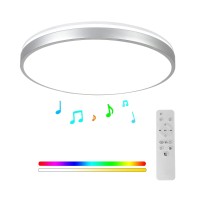 Horevo Brushed Nickel Ceiling Light With Remote Control With Bluetooth Speaker, 24W Diammble Color Changing, Led Flush Mount Silver Light Fixture For Bedroom, Living Room, Bathroon, Kitchen