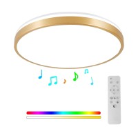 Horevo Bathroom Ceiling Light, Led Gold Flush Mount Light Fixture With Bluetooth Speaker, 24W Diammble Brushed Nickel Ceiling Light For Bedroom, Living Room, Bathroon, Kitchen