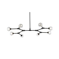 Zayne 8 Light Pendant In Black