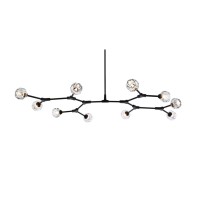 Zayne 10 Light Pendant In Black