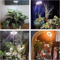 Aokrean Plant Grow Light 48 Leds Full Spectrum Grow Light For Indoor Plants Height Adjustable Small Halo Light With Base 3 Op