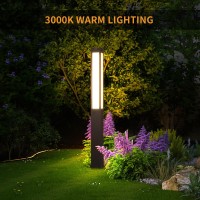 Linkmoon Landscape Path Light, 71