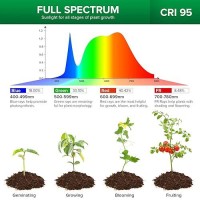 Sansi Led Grow Lights For Indoor Plants Lifetime Free Bulb Replacement 450W Full Spectrum 3Gooseneck Clip Plant Grow Light P