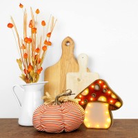 Features Considerate and practical gift This mushroom lamp aesthetic is feasible to be sent as practical gifts to your friends parents classmates children colleagues which can easily get favored by most adults and kids Elegant and attractive You can displ