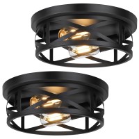 2Light Flush Mount Ceiling Light Fixtures 2Pack Farmhouse Black Ceiling Lights Industrial Metal Cage Light Fixtures Ceiling