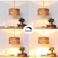 Zecoxol Rattan Plug In Pendant Light Hand Wicker Bamboo Shade,Boho Hanging Lights With Plug In Cord & Dimmable Switch,Indoor Rustic Hanging Lamp Plug In For Living Room Bedroom Dinning Kitchen Island