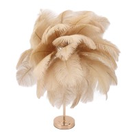 Feather , 3 Modes Ostrich Feather Lamp With Touch Switch Base Usb Charging, Modern Dimmable Bedside For Home Bedroom Nightstand Girl Room Wedding Decoration (Light Tan)