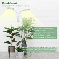 Pronoro Grow Light 2Head Led Floor Plant Growing Lamp Full Spectrum Plant Light For Indoor Plants Extendedbuiltin Power Co