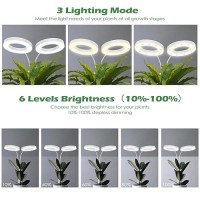 Pronoro Grow Light 2Head Led Floor Plant Growing Lamp Full Spectrum Plant Light For Indoor Plants Extendedbuiltin Power Co