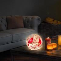 Ranscah Glass Ball Light Crackle Led Night Light Red Bird Pattern Battery Operated Light Tabletop Decorative Sphere Lamp Led Orb Table Lamp For Outdoor Living-Room Pathway Patio Yard Lawn Bedroom