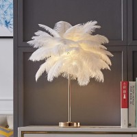 Feather Table Lamp, Ostrich Feather Table Night Light Modern Feather Lamp Bedside Table Lamp Desk Lamp Feather Led Night Lamp Atmosphere Light Nightstand Lamp For Living Room Wedding Room Bedroom