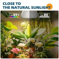 Barrina Hanging Grow Lights For Indoor Plants 25W Full Spectrum With Timer And 164Ft Power Cord Pendant Plant Lights For Ind