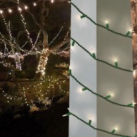 75 Led Soft Twinkle Lights Slow Twinkling Christmas Lights 37 Of 75 Lights Twinkle Waterproof Gentle String Lights Ul Certif