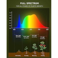 Unilampro Grow Light Bulbs Full Spectrum Light Bulb A19 Grow Light Bulb Plant Grow Light Bulbs E26 Base 9W Plant Light Bulbs