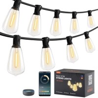 Addlon 96Ft Smart Outdoor String Lights, Dimmable Patio Lights With 30 Waterproof Led Bulbs, String Lights For Outside Works With App, Music Sync Outdoor Lights For The Bistro Balcony And Backyard