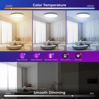 Blnan Smart Rgb Led Flush Mount Ceiling Light 13 Inch 24W Dimmable Color Changing Wired Lamp Fixture With Remote Control Works