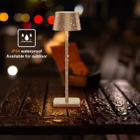 Cordless Led Table Lamps, Rechargeable 6000Mah Battery Operated Waterproof Desk Lamp 3 Colors Stepless Brightness Portable Metal Table Light For Party Patio Restaurant Indoor / Outdoor (Titanium)