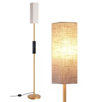 Edishine Modern Corner Floor Lamp With Remote Stepless Dimmable Minimalist Reading Lamp 65 Tall Pole Lamp For Living Room B