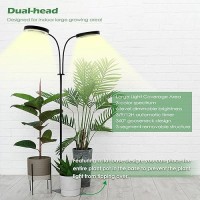 Pronoro Grow Light 2Head Led Floor Plant Growing Lamp Full Spectrum Plant Light For Indoor Plants Extendedbuiltin Power Co