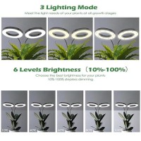 Pronoro Grow Light 2Head Led Floor Plant Growing Lamp Full Spectrum Plant Light For Indoor Plants Extendedbuiltin Power Co