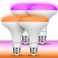 Jandcase Orange And Purple Halloween Light Bulbs, Led Br30 Flood Lights 11W(65W Equivalent), E26 Colored Light Bulbs For Halloween Decor, Not-Dimmable, 4 Pack